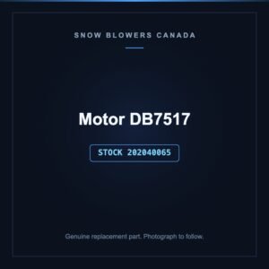 Motor DB7517, stock 202040065, replacement part for PowerSmart snow blowers