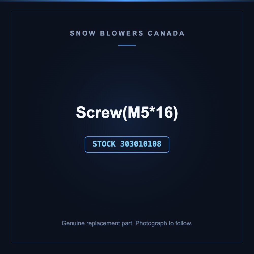 Snow blower screw: Snow Blower Parts, Screw(M5*16), Stock #303010108, stock number 303010108