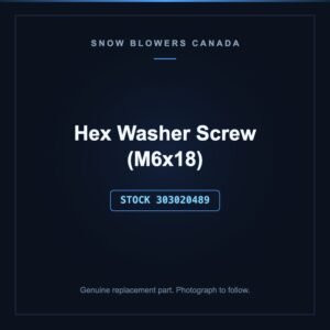 Hex Washer Screw (M6x18), stock 303020489, replacement part for PowerSmart snow blowers
