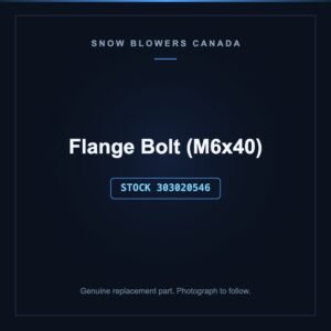 Flange Bolt (M6x40), stock 303020546, replacement part for PowerSmart snow blowers