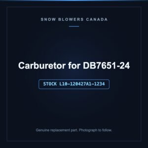 Carburetor for DB7651-24, stock L10-120427A1-1234, replacement part for PowerSmart snow blowers